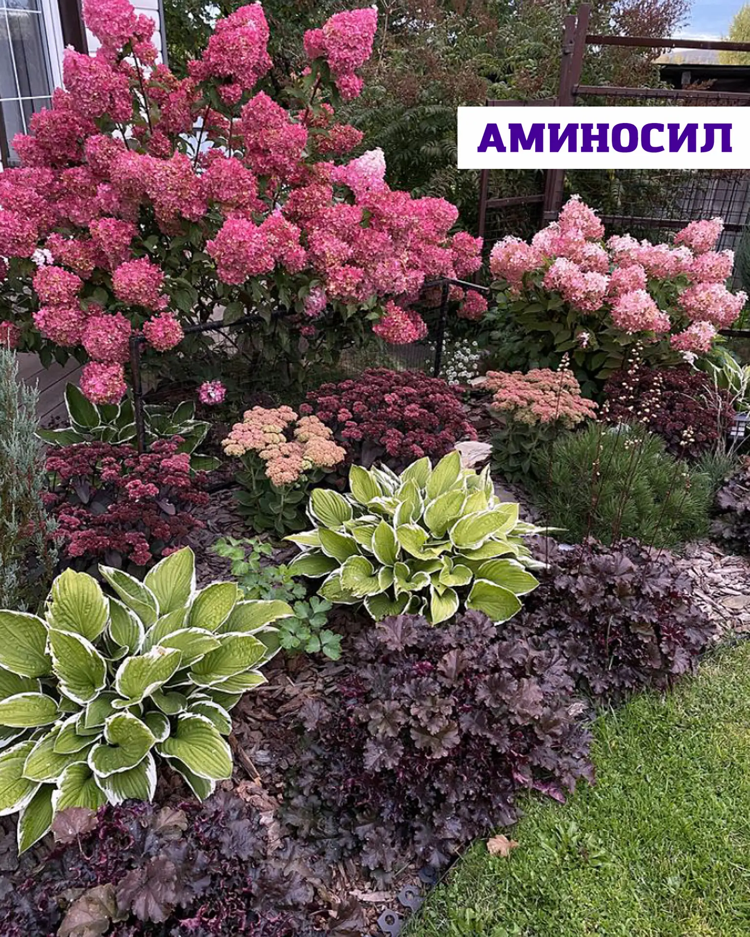 Тень в саду — это не минус, а возможность создать особенное, уютное пространство 💚  Если на участке 