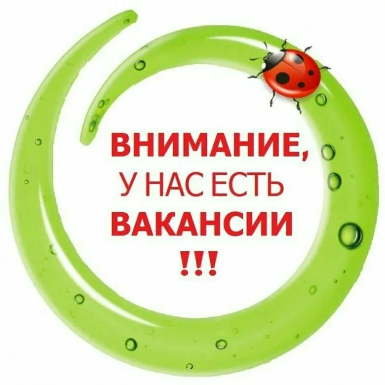 В Нурменский центр образования требуются:

✅ Дворник 🧹
☑️ Уборщик служебных помещений 🪣

Гибкий гр