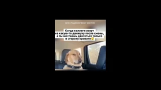 Видео: https://vk.ru/clip-220087755_456240051