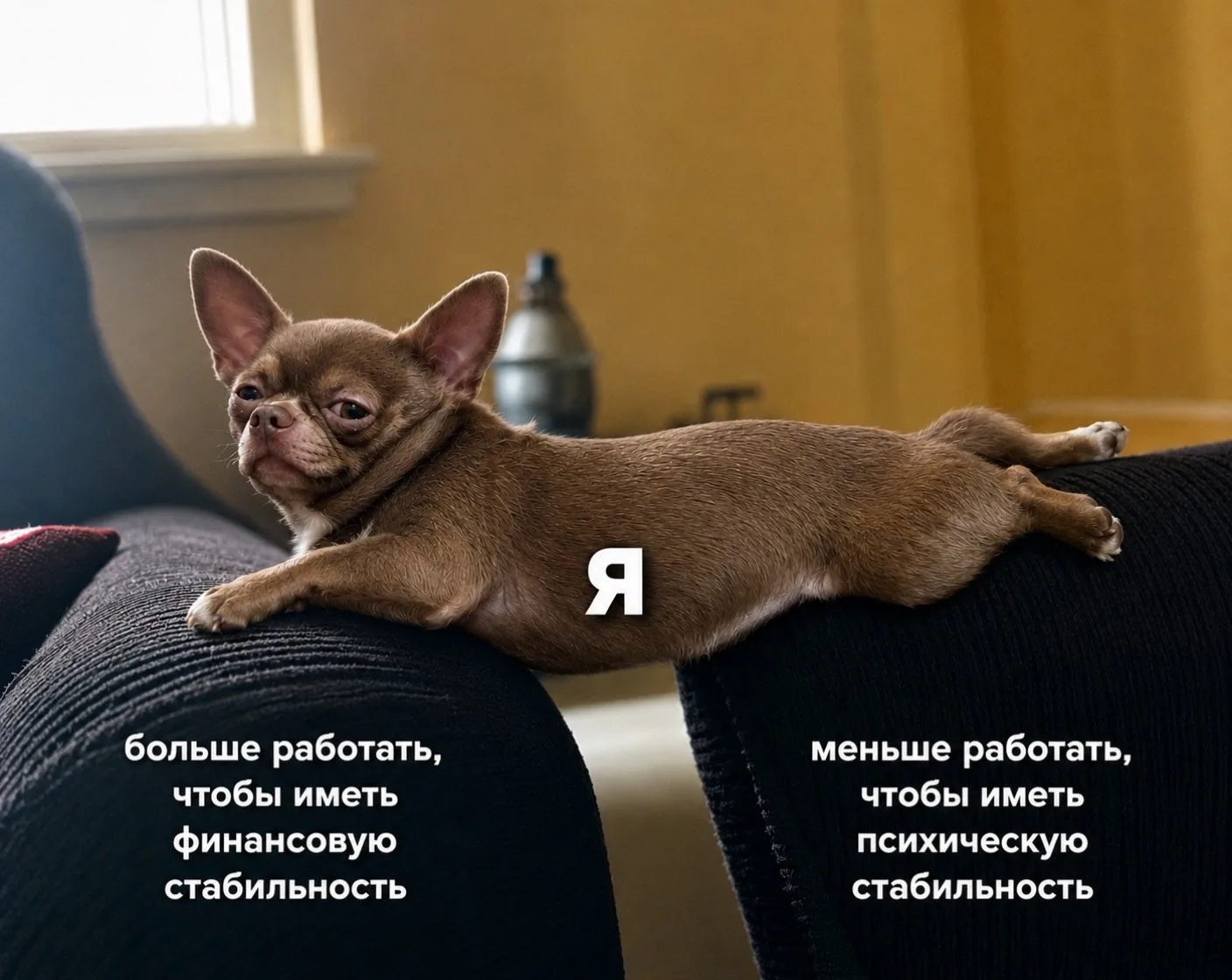 Коллеги, мы?