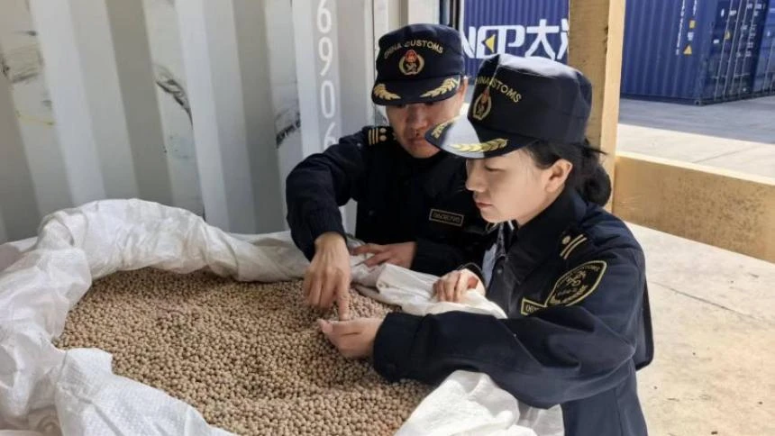 Китай развивает переработку импортного мяса и зерна в Маньчжурии