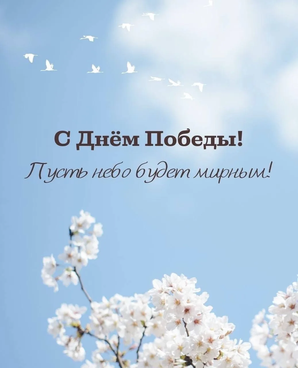9 Мая — день памяти, силы и благодарности ❤️