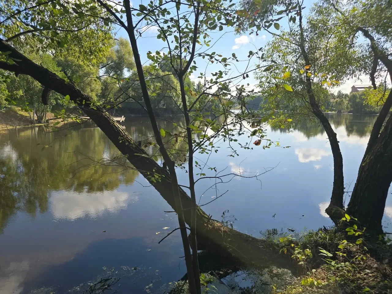 🌱💧 Более пяти гектаров водной глади расчистили в этом году от мусора в Городском окру...