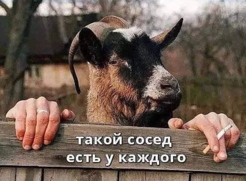 Пчёлка