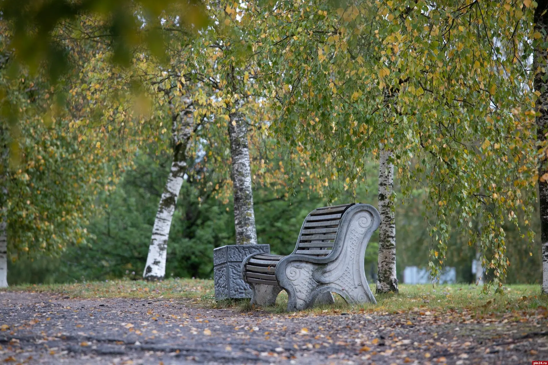🍂🌦 До +19°C и сильный ветер: синоптики дали прогноз в Псковской области на 6 октября