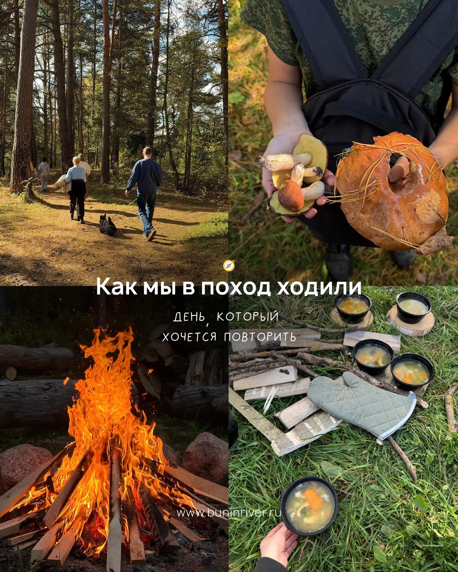 Спасибо всем, кто в этот день пошёл с нами🍂🍄‍🟫
