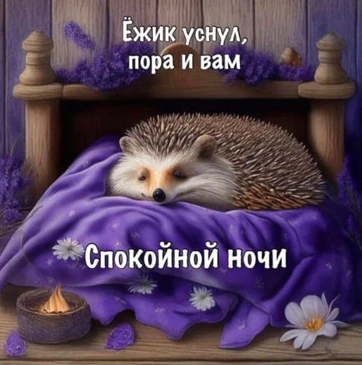 Доброй ночи! До завтра! Ваш Дед Мороз....