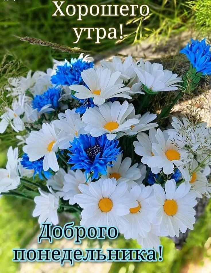 Пусть случаются приятности 
И сбываются чудесности, 
Пусть побольше будет радости, 
Красоты, добра и