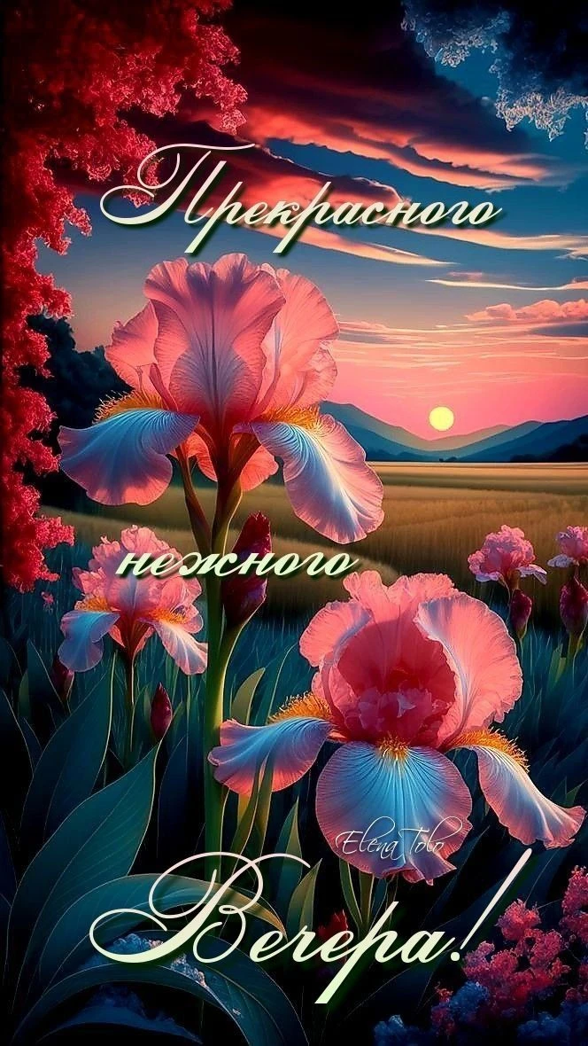 - 🌺 Понравилась открытка — нажмите реакцию и сделайте чей‑то день светлее ❤