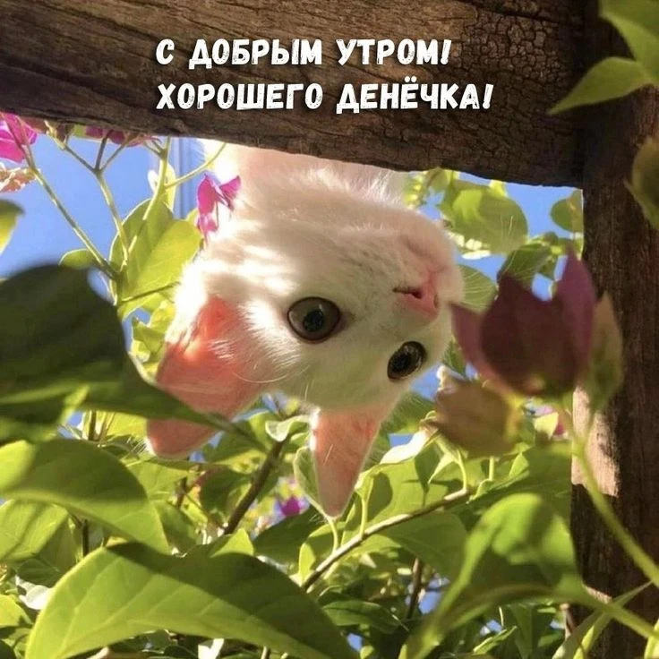 Доброе утро, Волжский МЭИ! 🌅