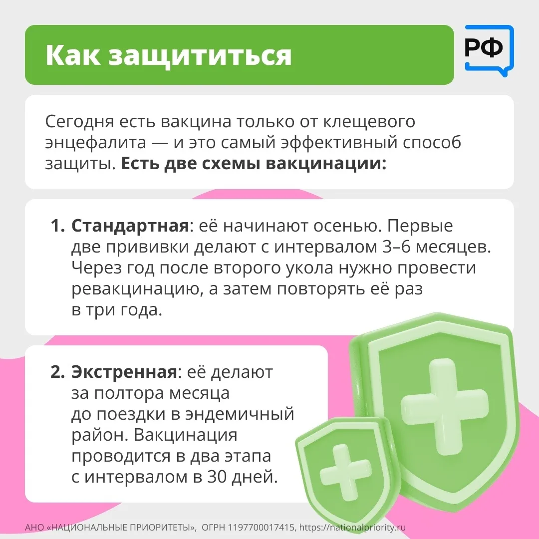 Вместе с клещом можно подцепить опасные болезни. Например, боррелиоз — он затрагивает кожу, сердце и