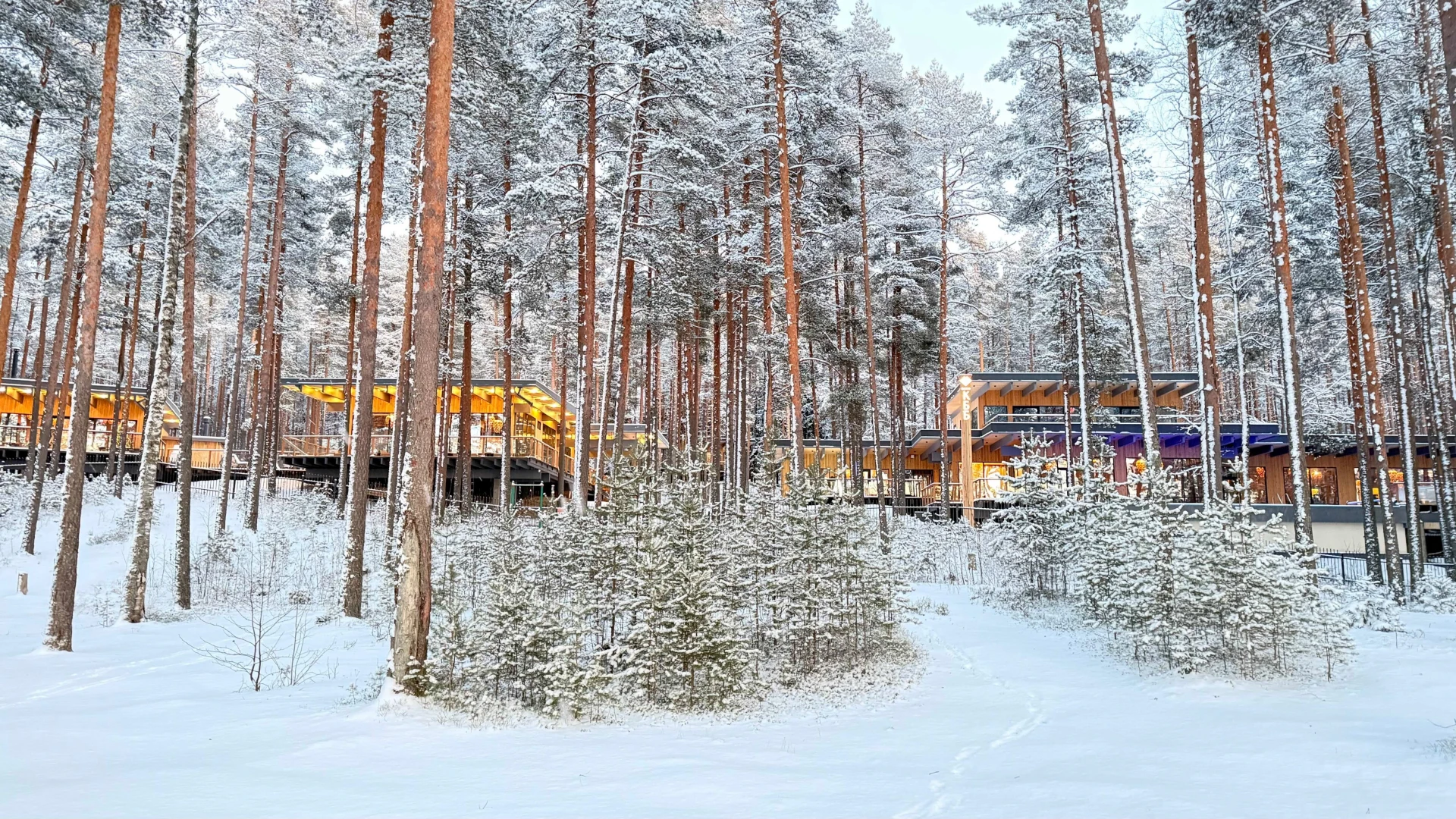 Курорт Большое Борково 5*