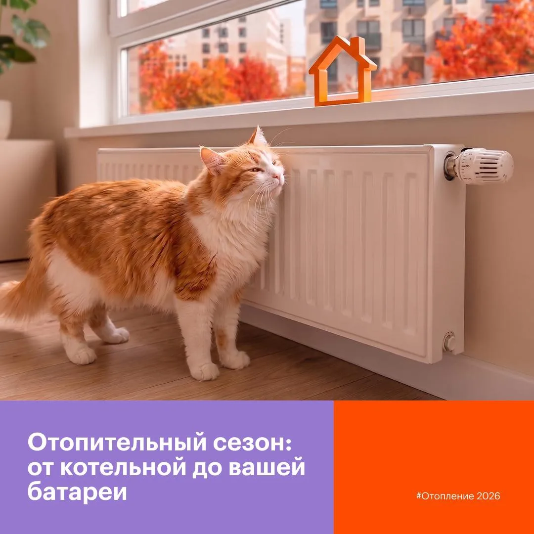 Дорогие друзья!