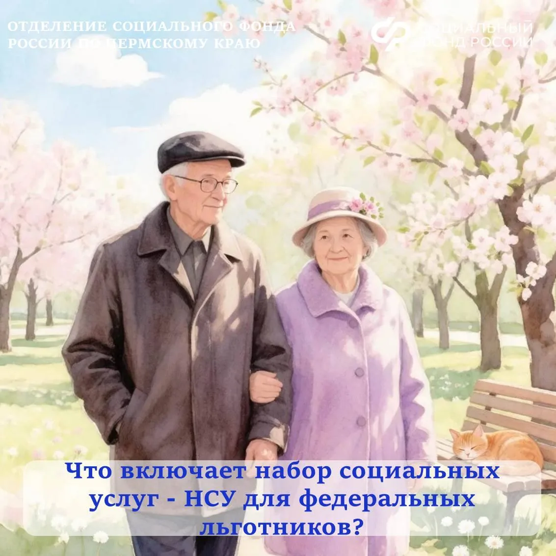 В Пермском крае проживает более 240 тысяч федеральных льготников, которые имеют право на получение н