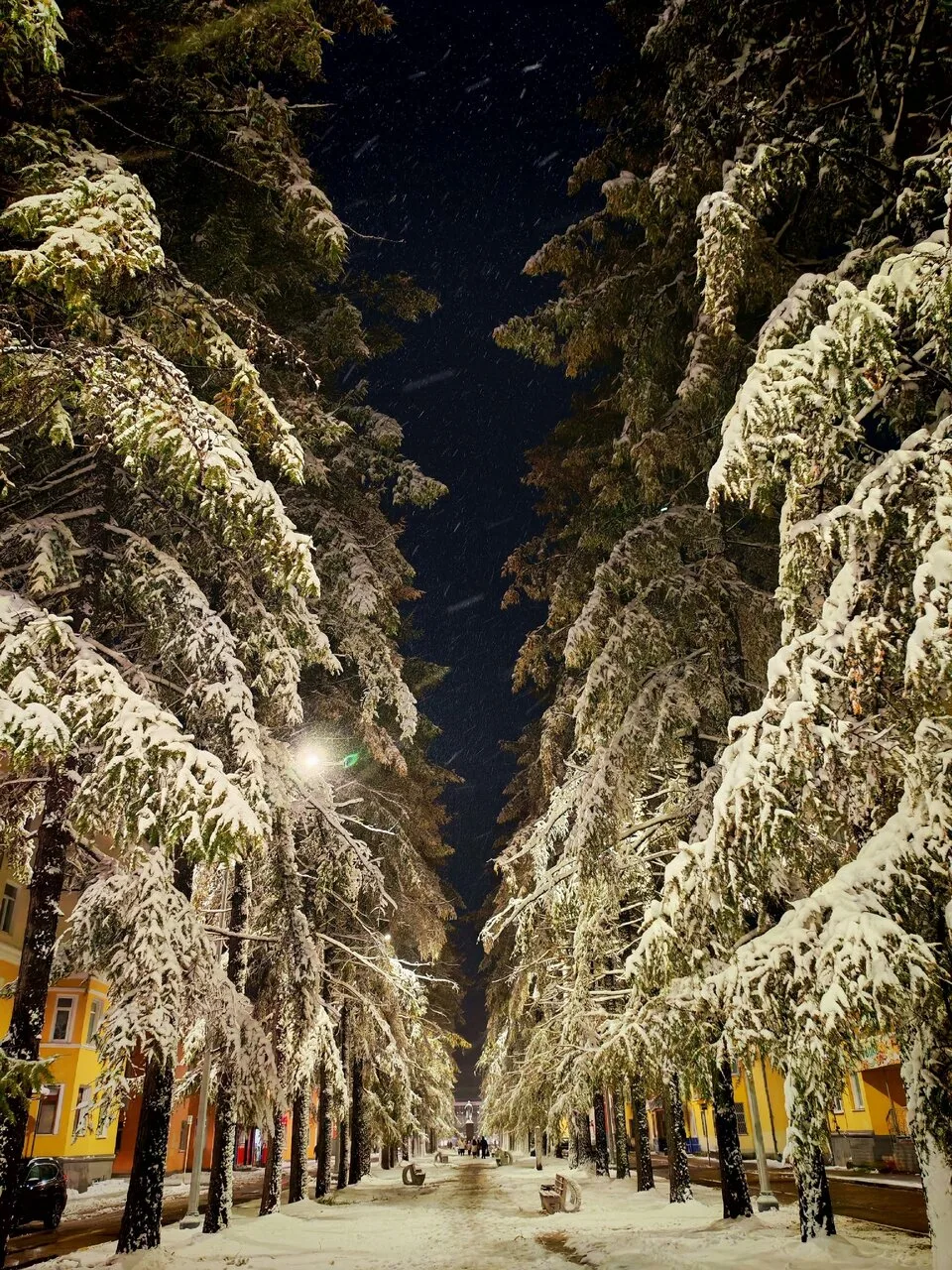 📷 ph.: Татьяна Ощепкова