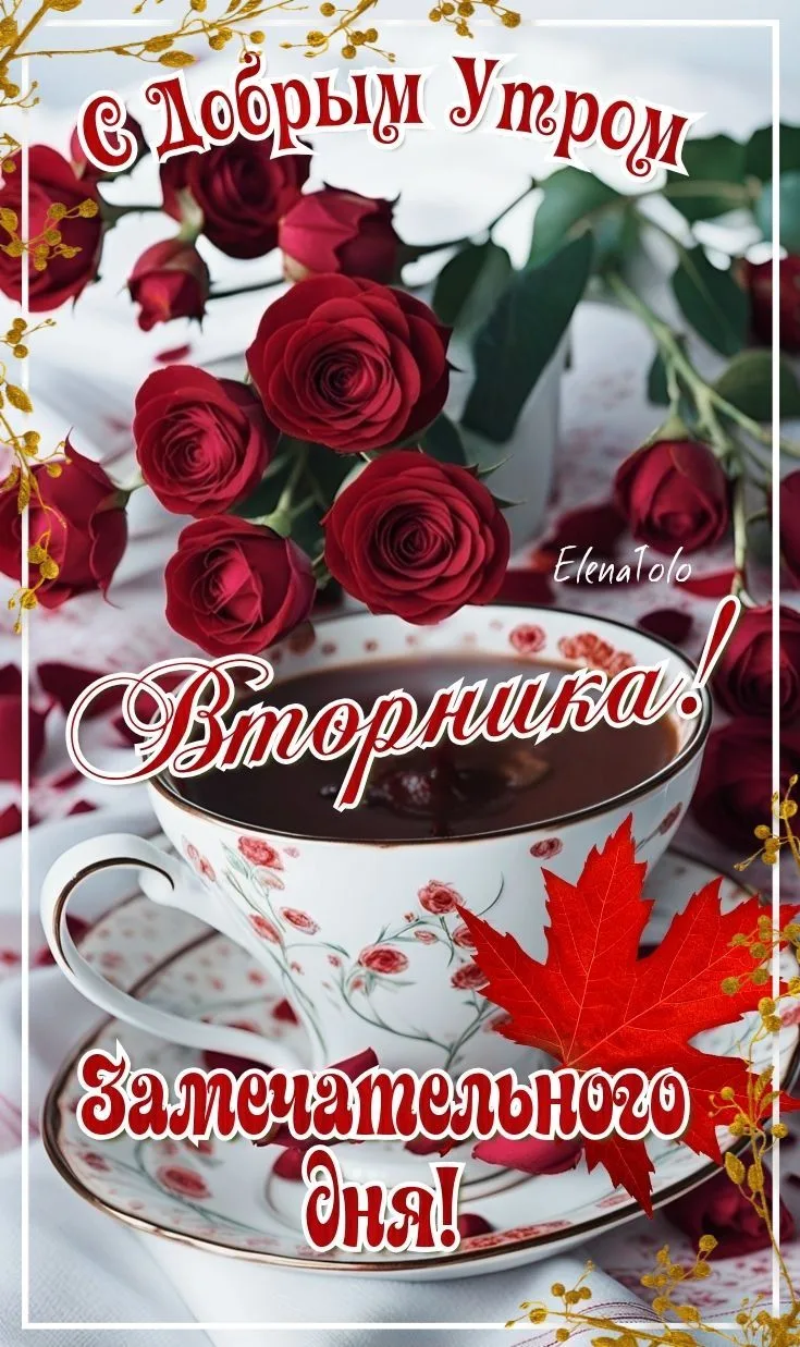 https://max.ru/se13912156_biz