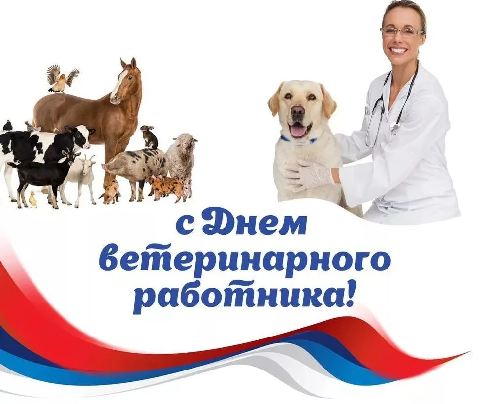 🤝 Уважаемые ветераны и работники ветеринарной службы Верхнекетского района!