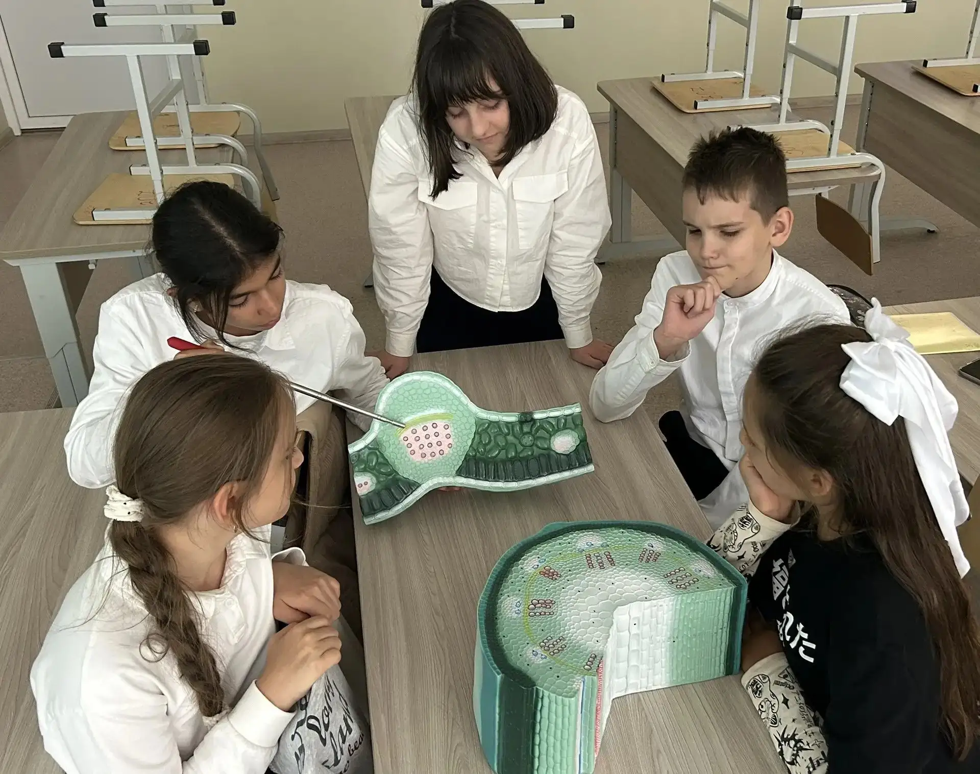 🔬 Биологическая лаборатория в «Точке роста»