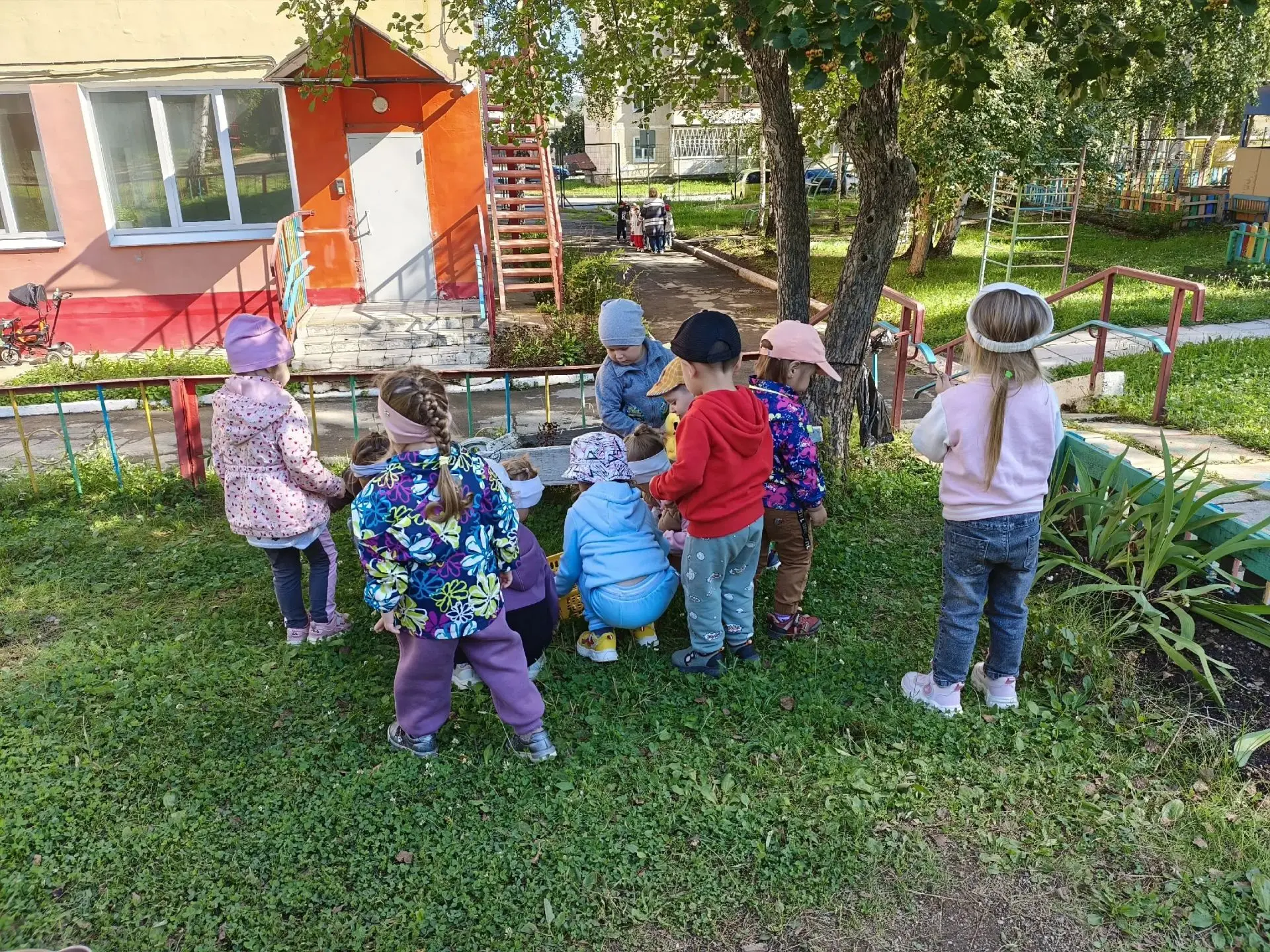 🌿 Живая галерея на стволе дерева 🌿