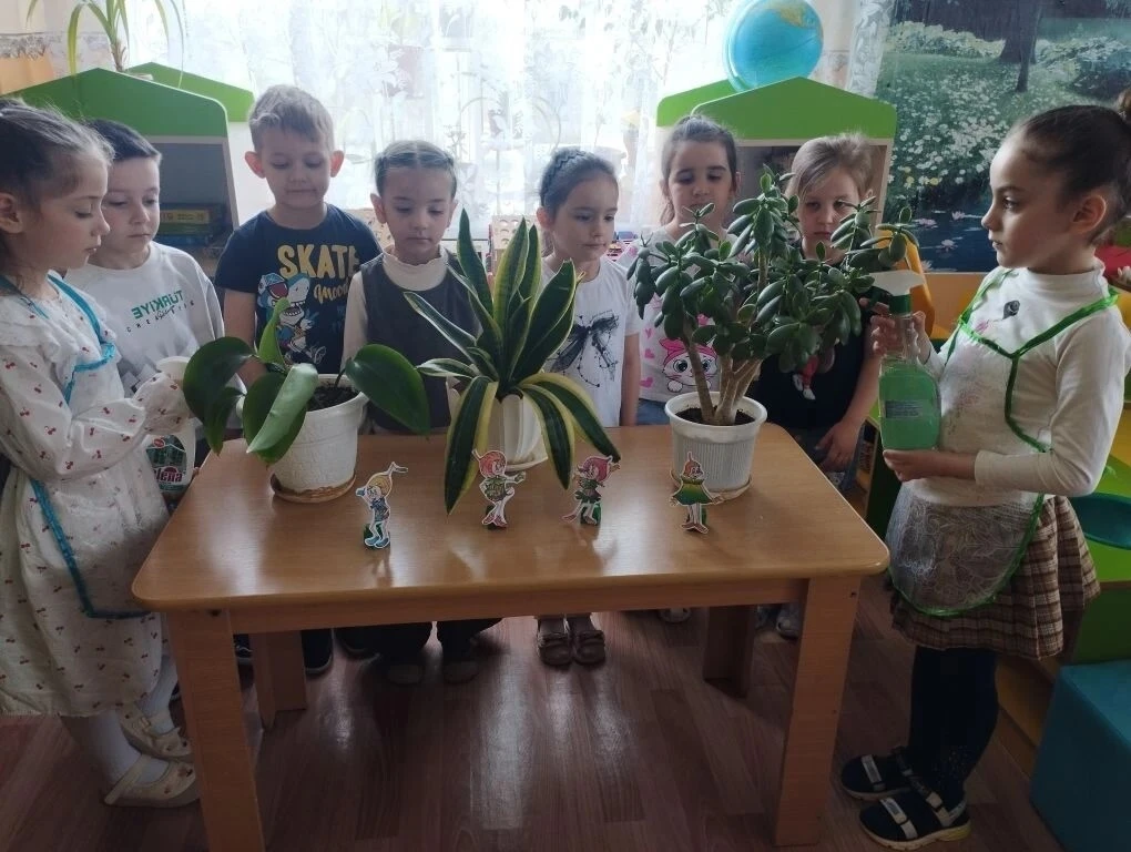 Эколята-дошколята учатся ухаживать за комнатными растениями!