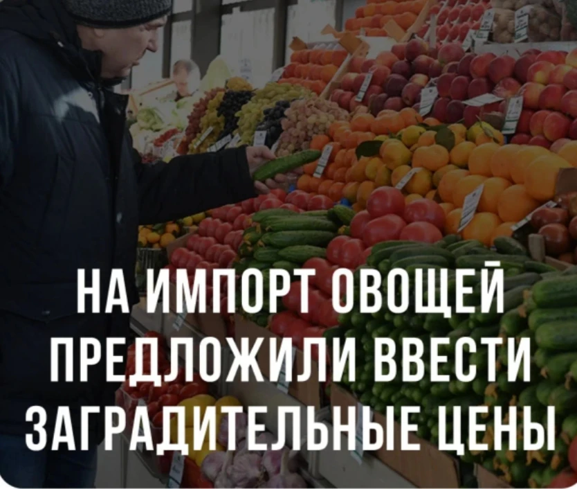 🛒 Российские производители предложили ограничить дешевый импорт тепличных овощей: