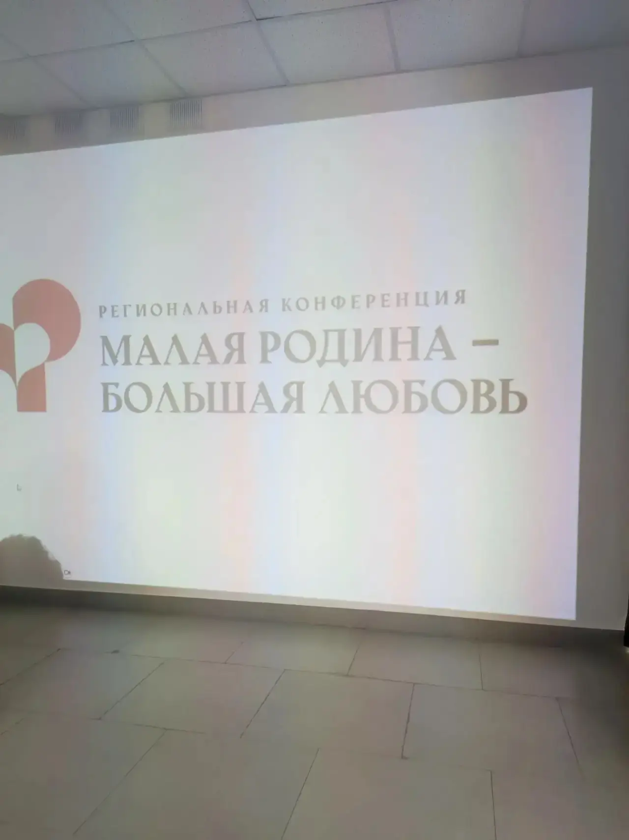 17 июня в Саратовской области прошла масштабная региональная конференция «Малая Родина — большая люб