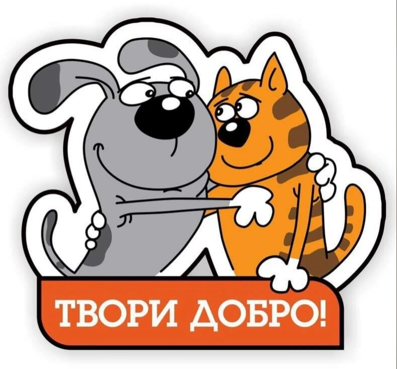 🐾Всемирный день защиты животных 🐾