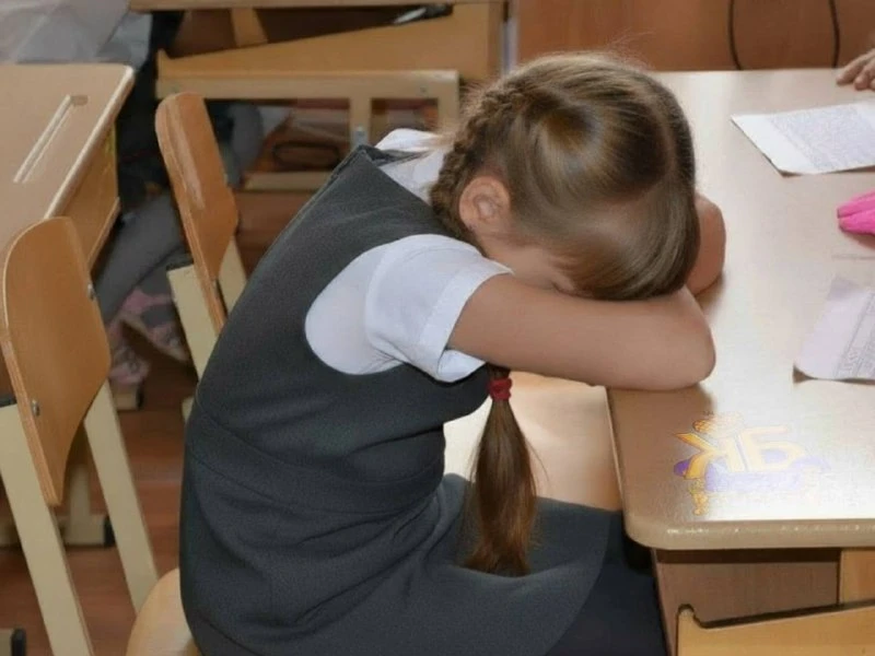 В школах предложили на треть урезать часы математики, физики и химии