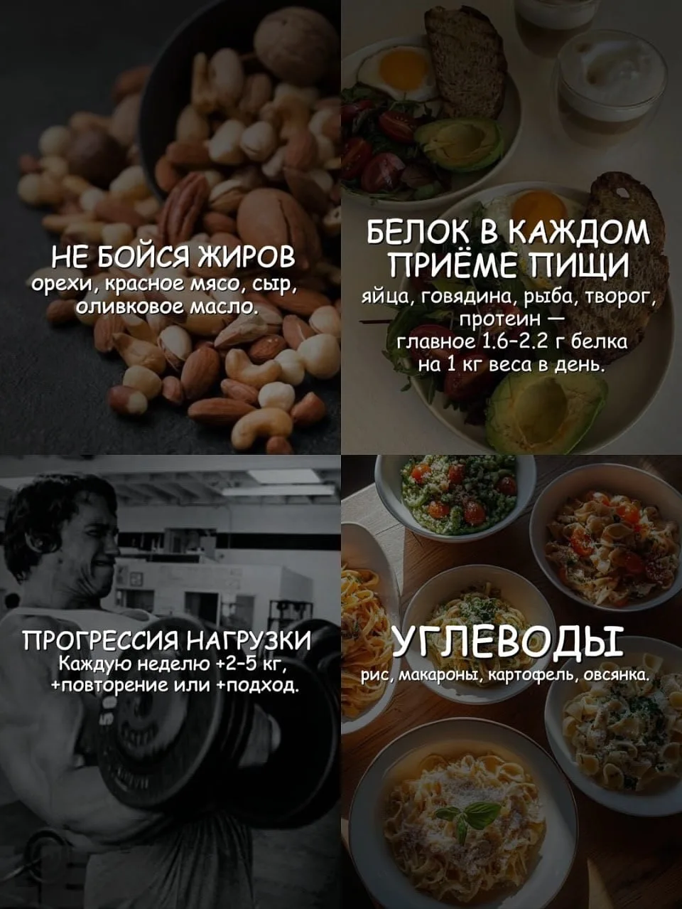 Как набрать мышечную массу 💪