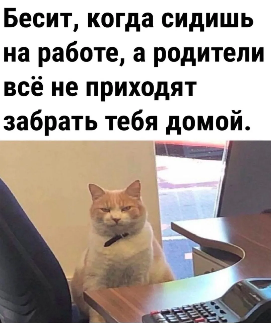 Да.