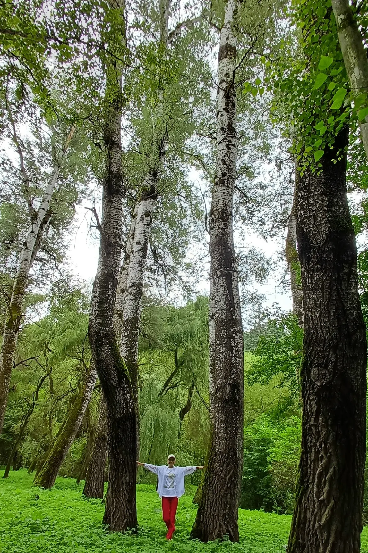Две недели без ЕГЭ. И я успела по нему соскучиться