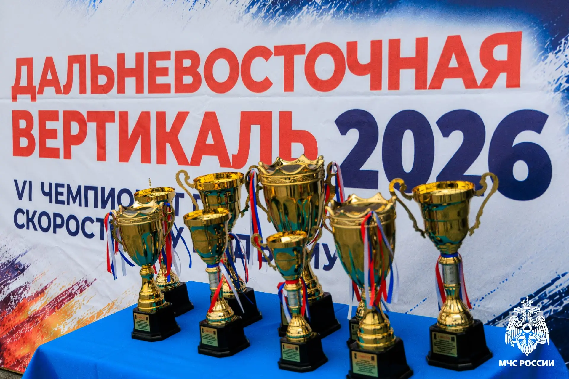 На высоте мастерства: во Владивостоке завершились масштабные межрегиональные соревнован...