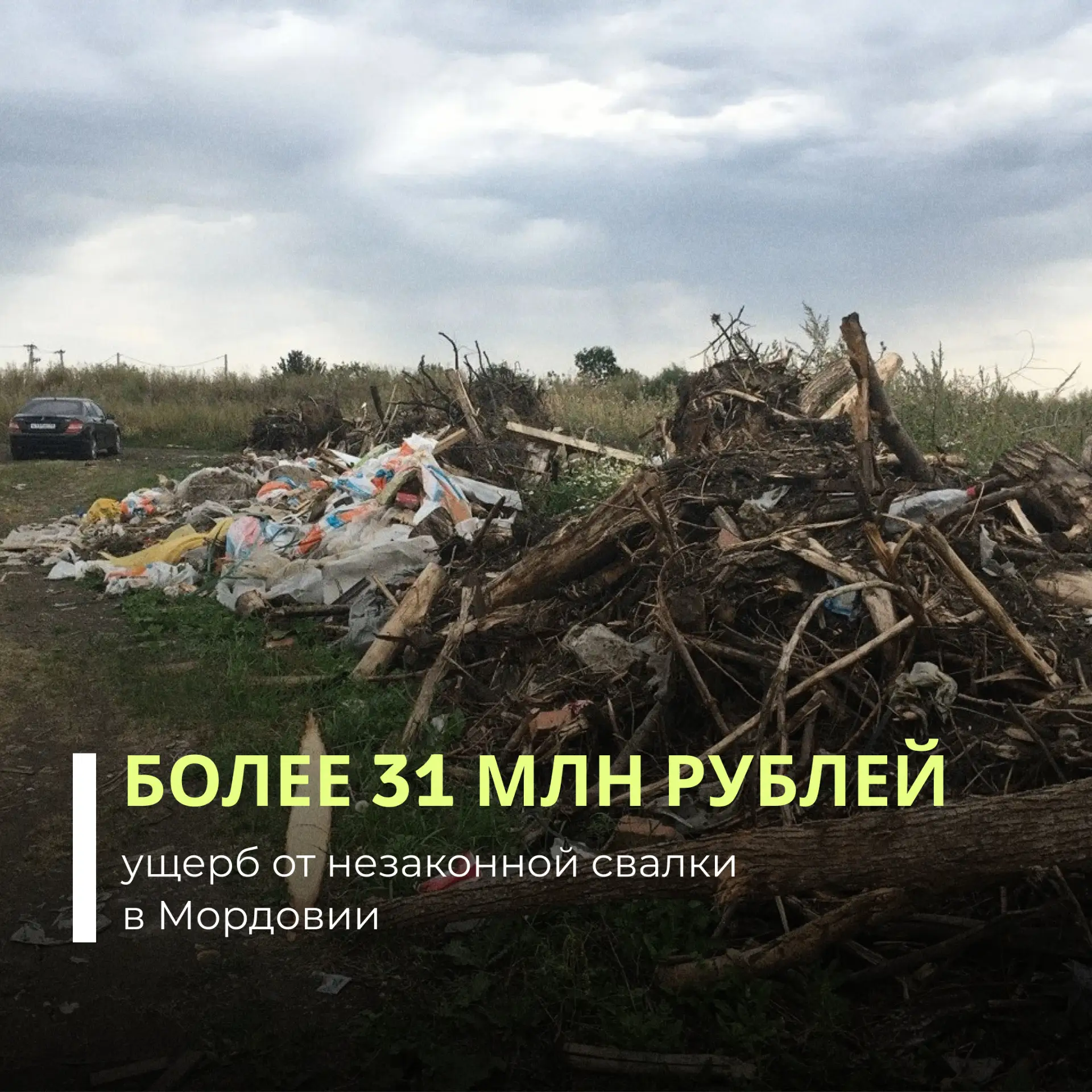 Суды двух инстанций поддержали требования Росприроднадзора о взыскании более 31 млн рублей за вред, 