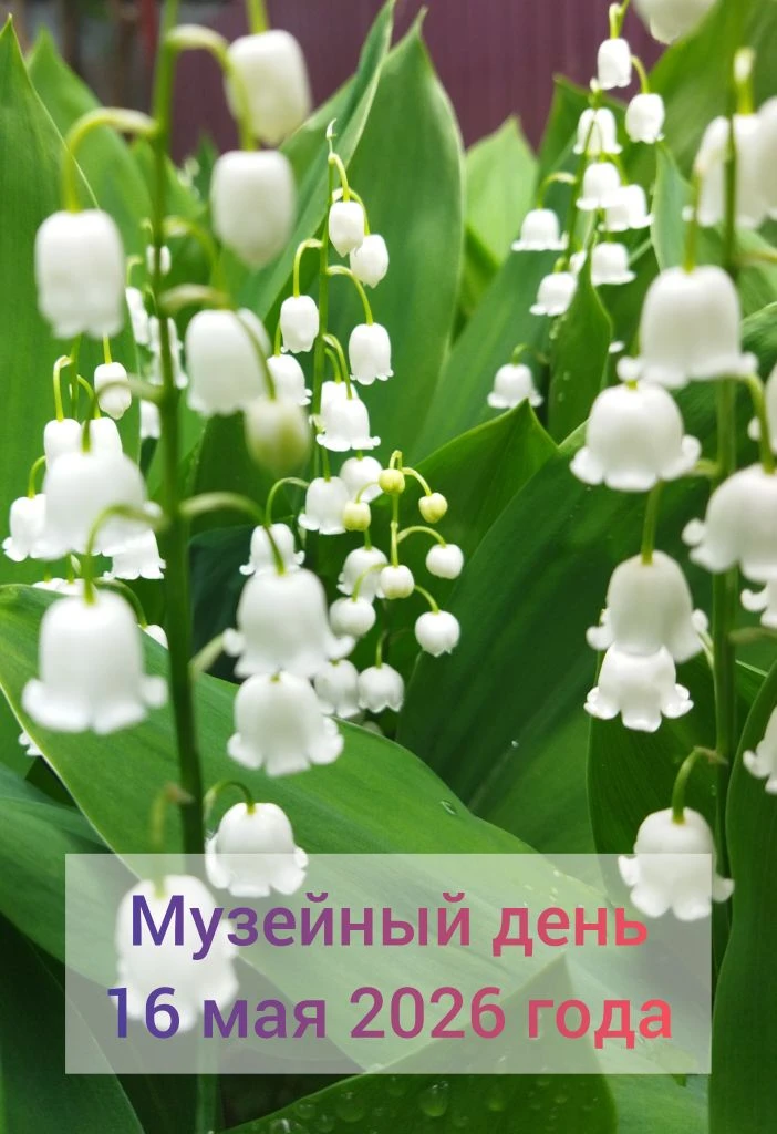 Программа музейного дня в Дубовском музее 16 мая 2026 года: