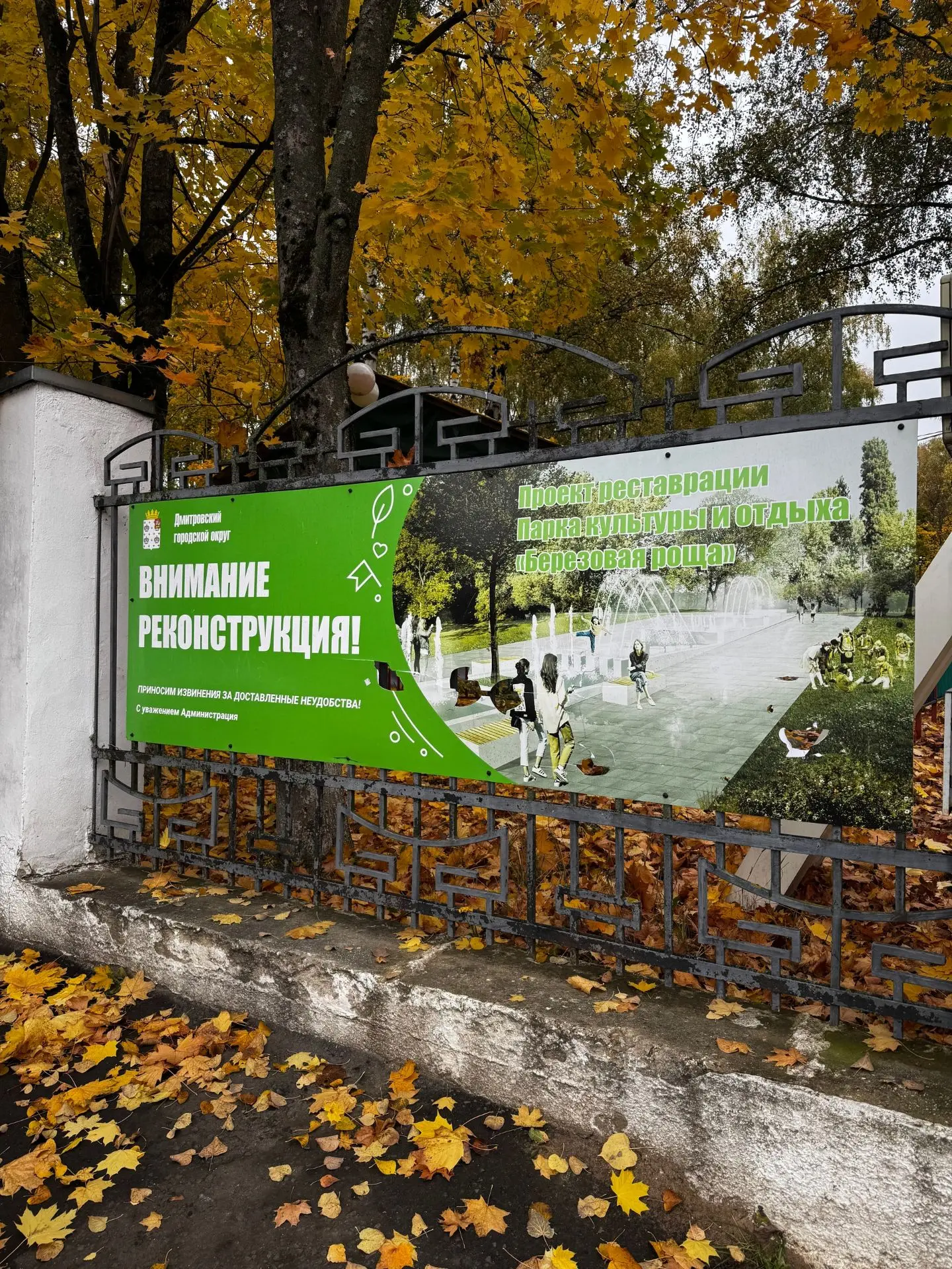 В Дмитрове начались долгожданные работы по благоустройству «Березовой рощи»