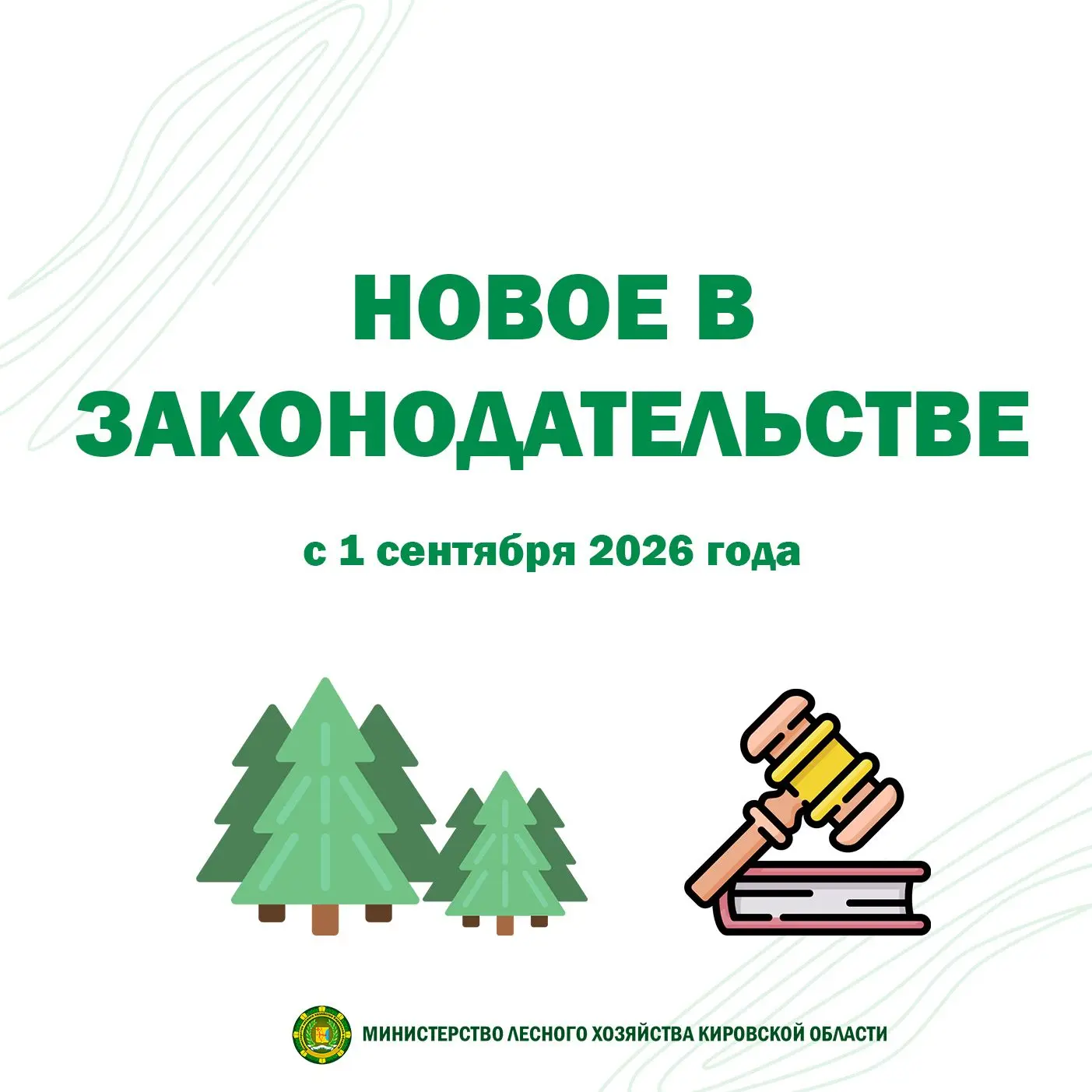❗️Внимание: с 1 сентября 2026 года меняются правила лесопользования.