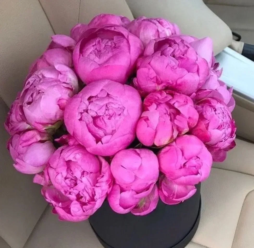 Свежая поставка пионов и ранункулюсов 🌸