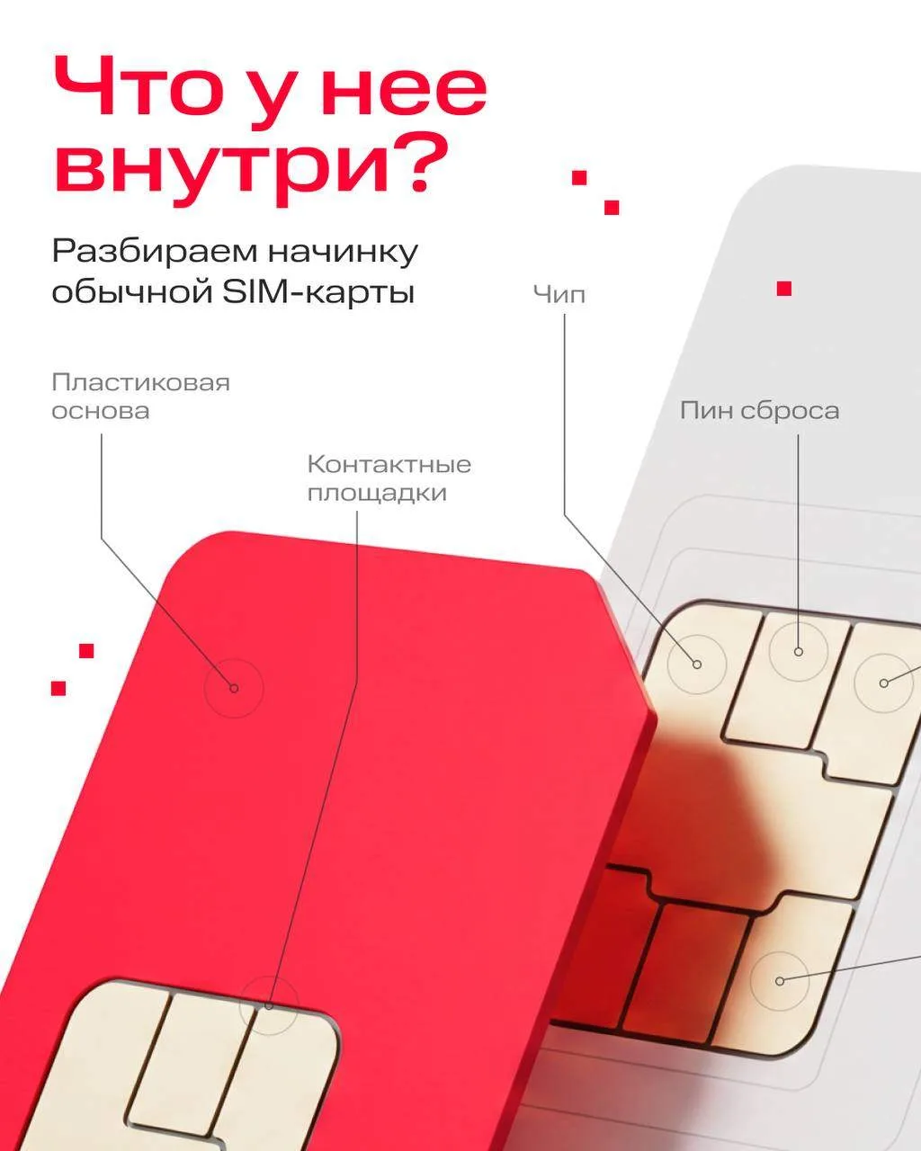 Мини-процессор у вас в кармане 🛑
