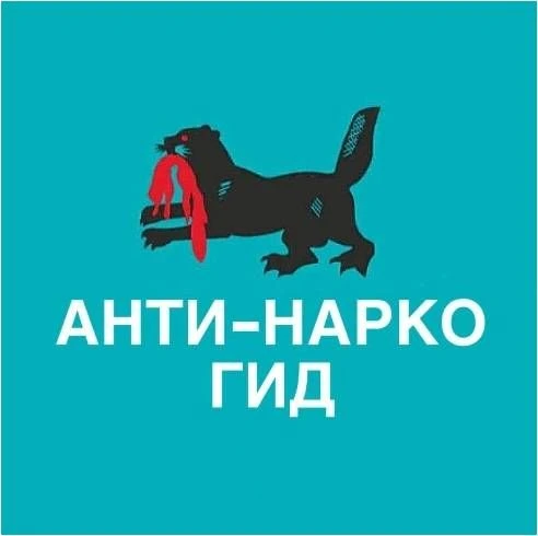 В Иркутской области запущен чат-бот "Анти-Нарко Гид Иркутской области", который работае...