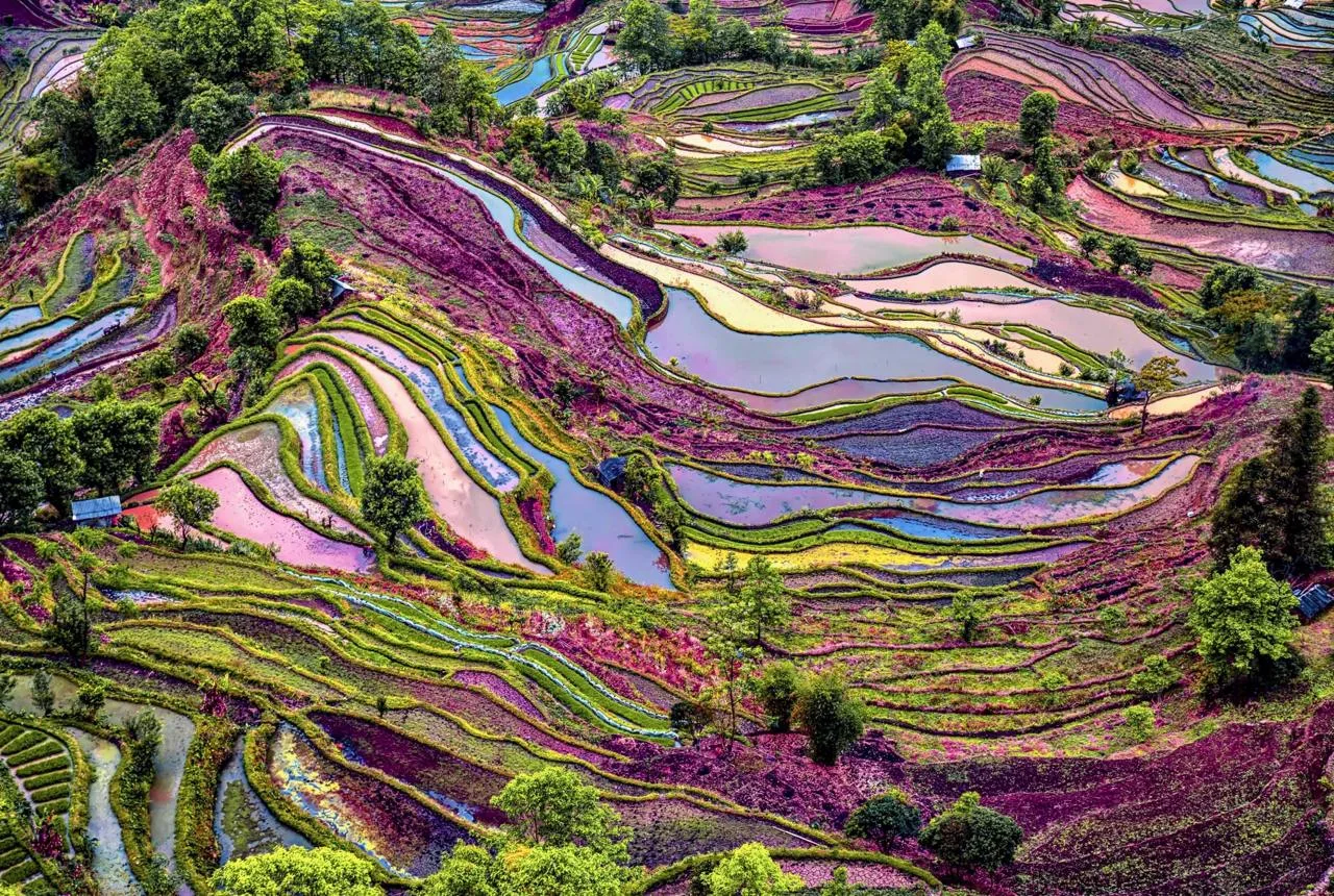 Рисовые террасы Хунхэ-Хани, Китай 🇨🇳