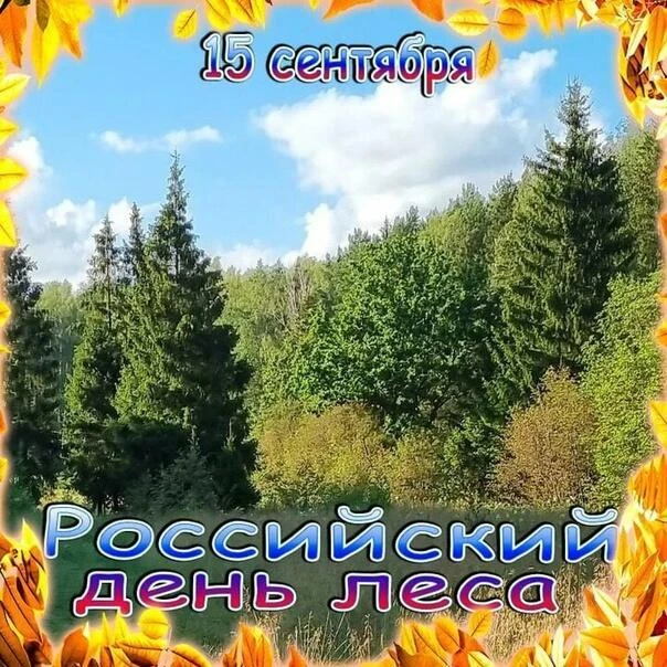 И не сразу и не вдруг, мы узнали Лес наш друг.