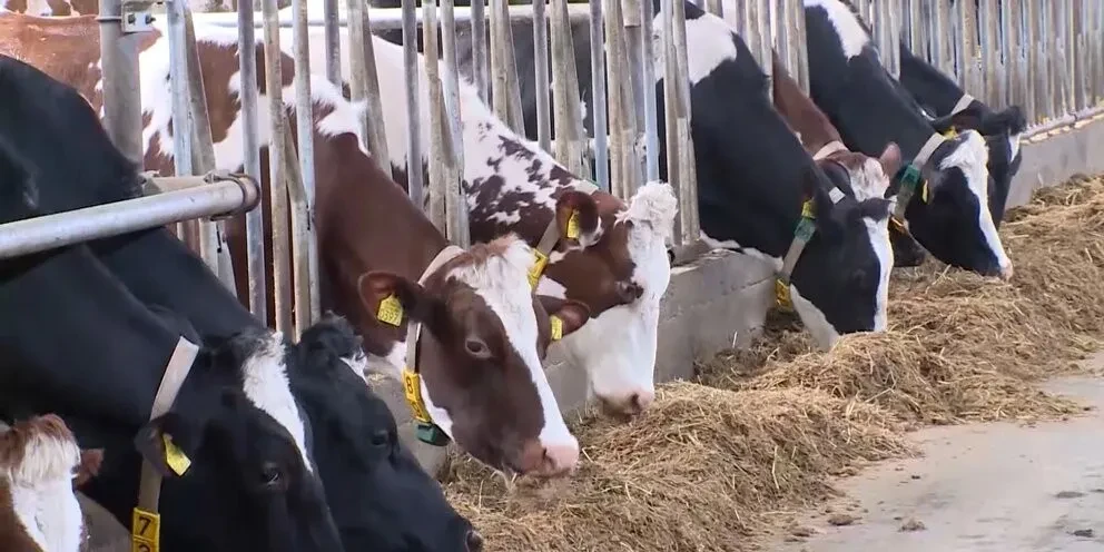 Обращение с побочными продуктами животноводства
⁣
С 1 марта 2023 года вступил в силу Федеральный зак