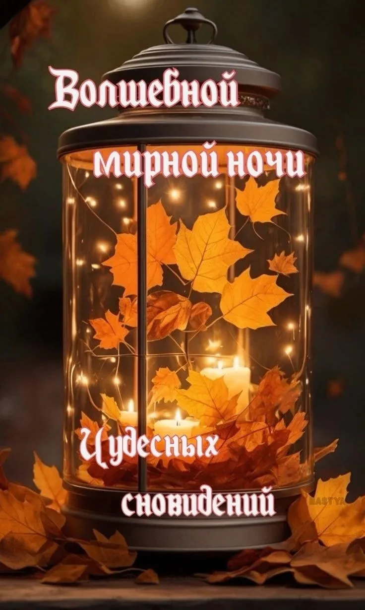 🥰Ставьте реакции и делитесь открыткой с близкими ❤️