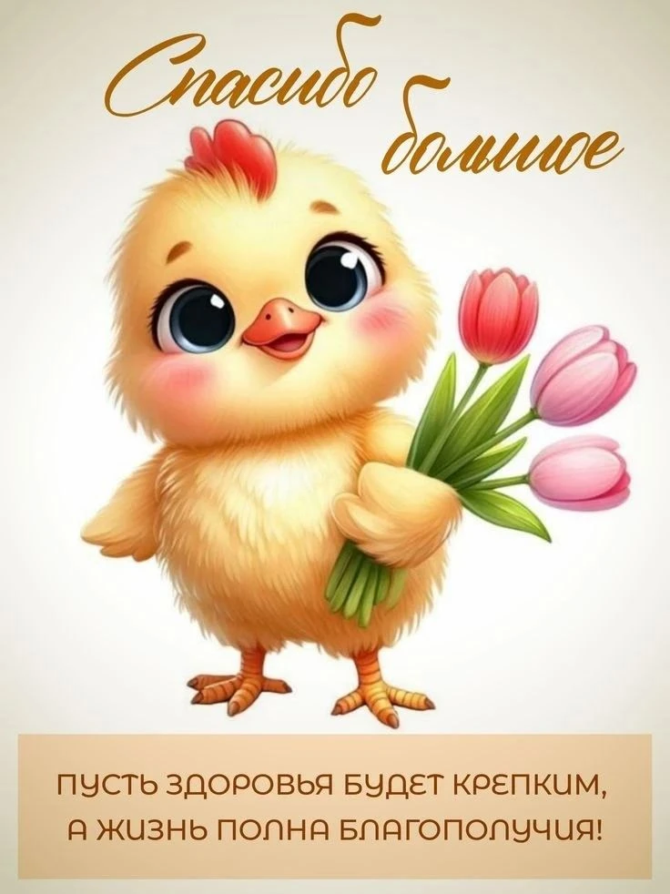 ✨❤️❤️❤️🍬✨