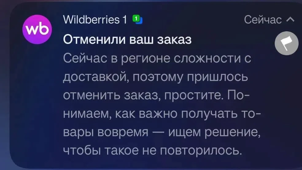 Wildberries прокомментировал информацию об отмене заказов в России

В пресс-службе объединенной комп