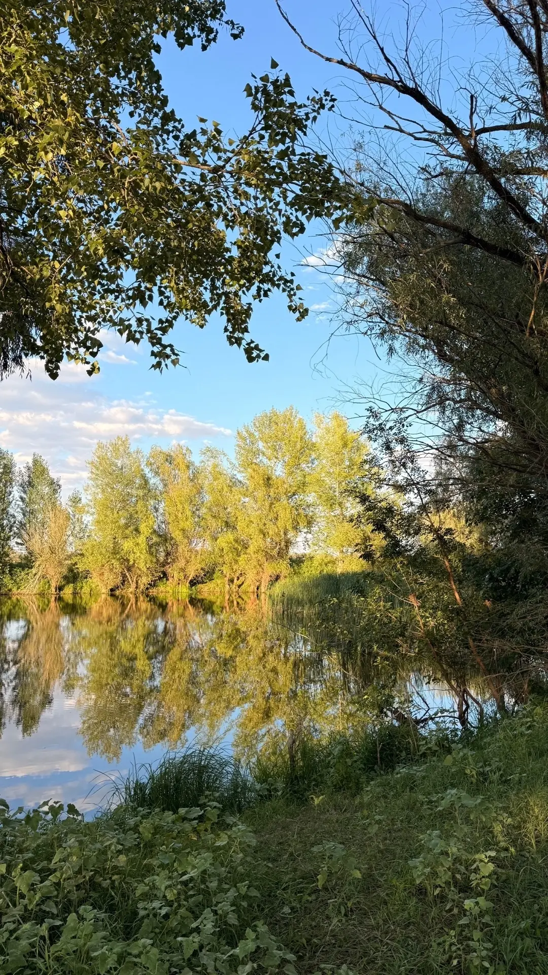 Продолжаем нашу рубрику «Мой живописный край»! 🍂