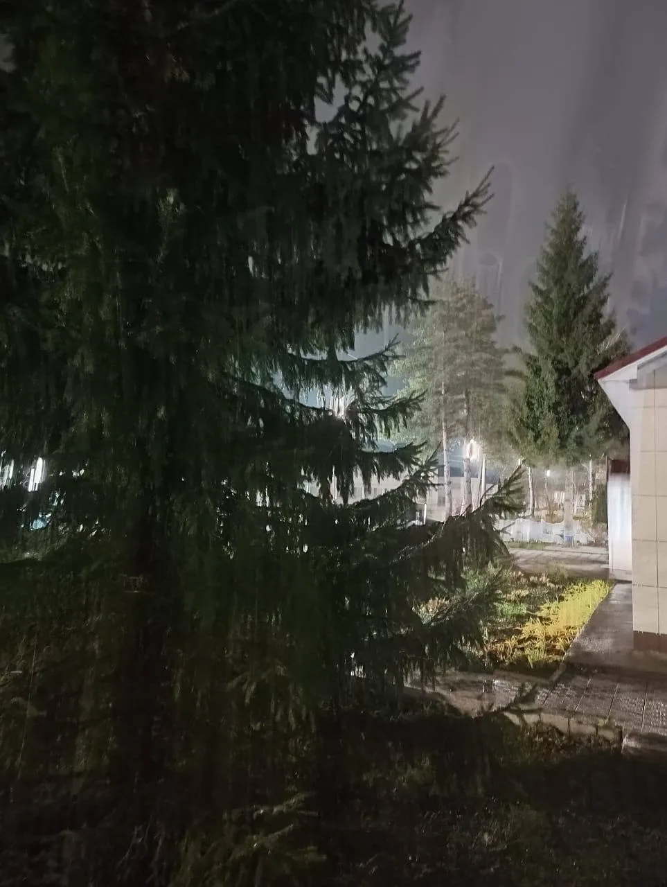 🌙 Добрый вечер, друзья!