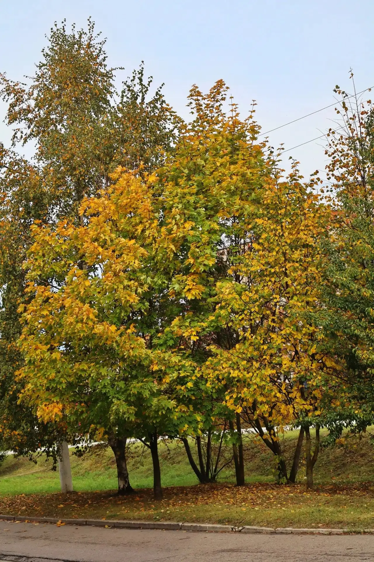 🍁А вот и долгожданные выходные!