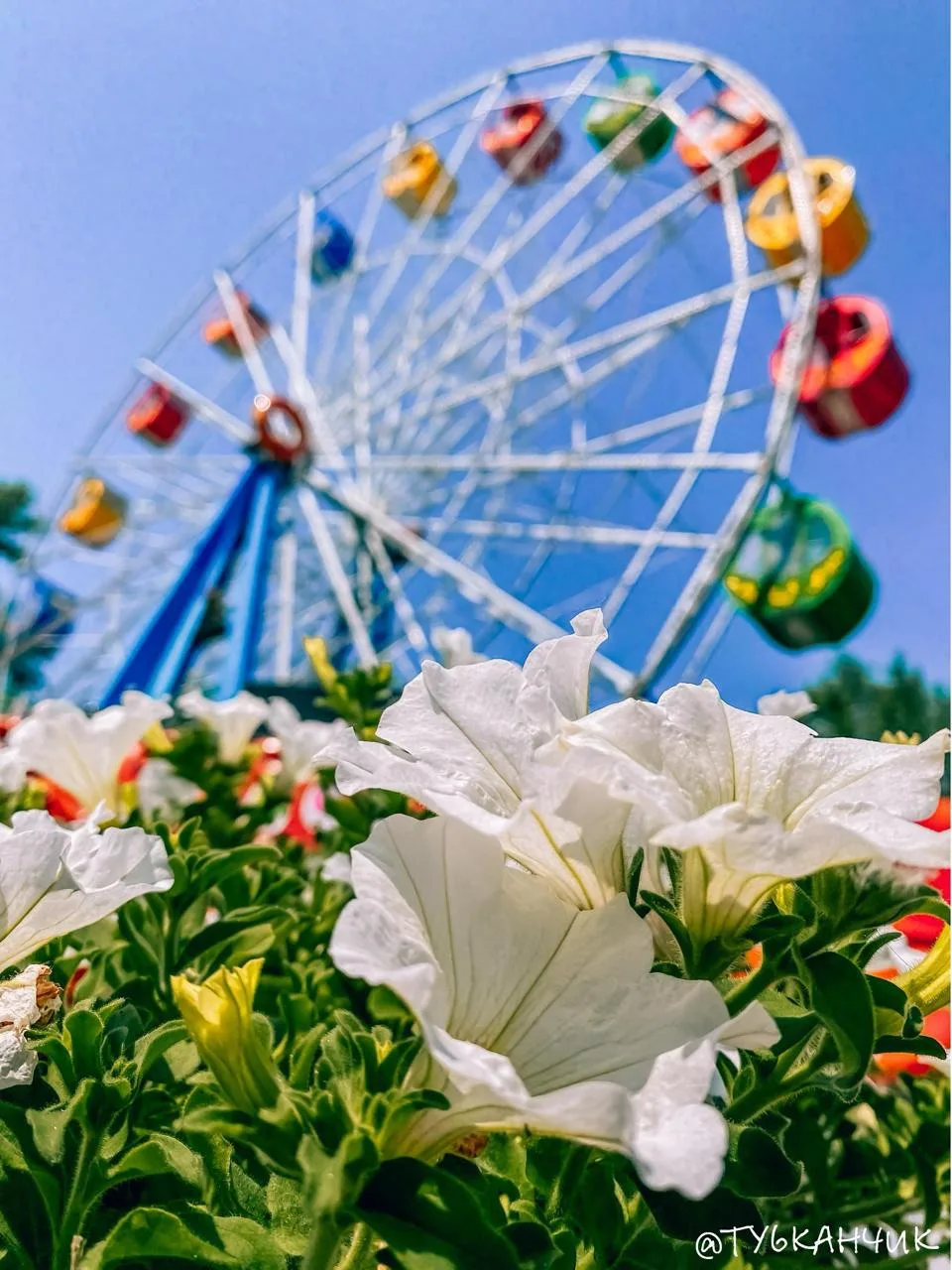 Доброе утро! ☀️