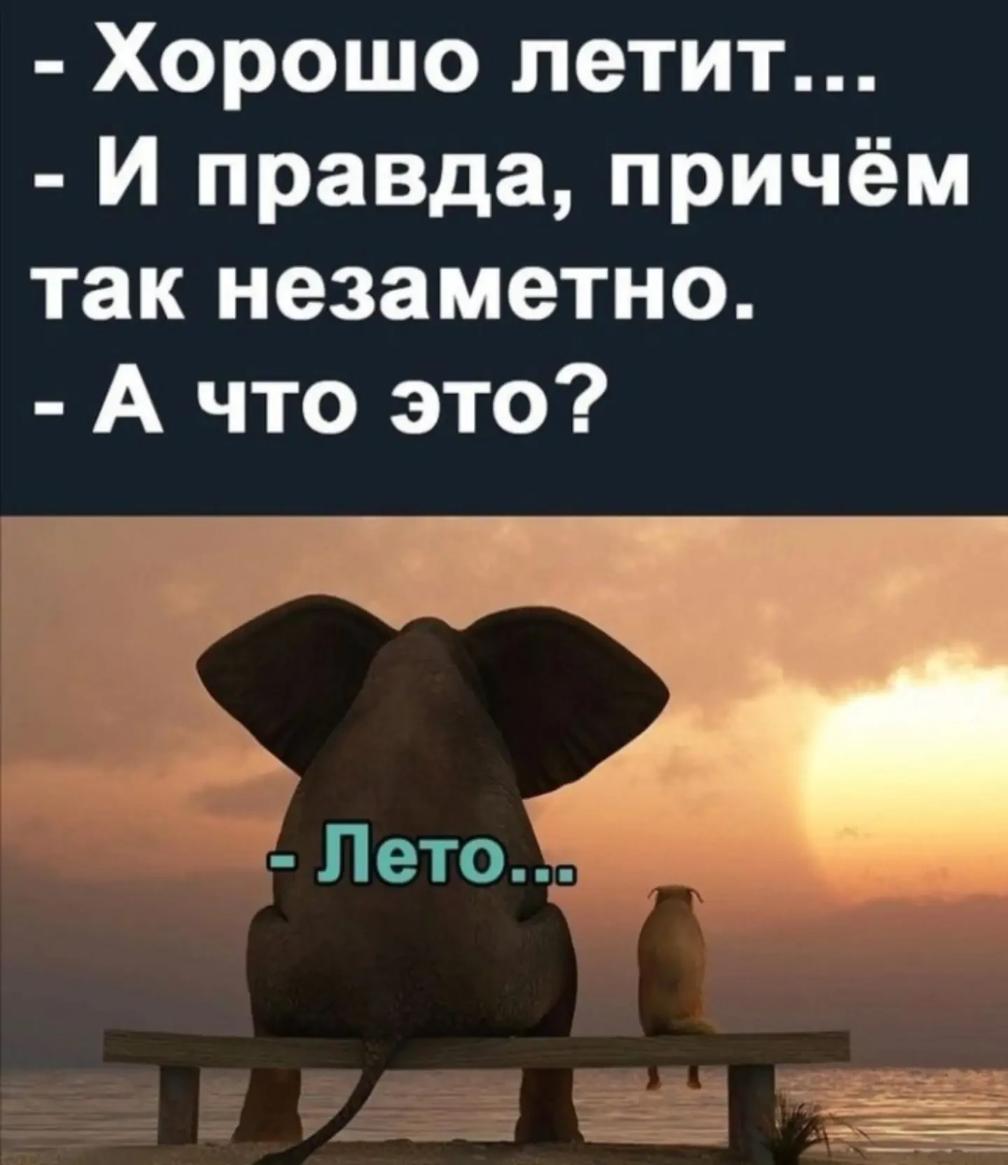 Женский юмор - Подписаться